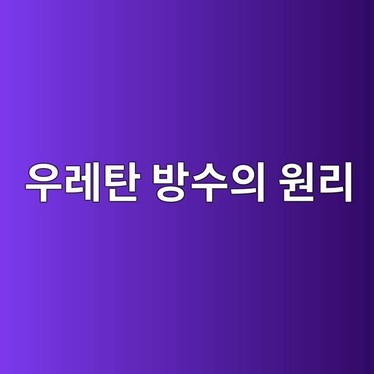 ec9ab0eba088ed8384 ebb0a9ec8898ec9d98 ec9b90eba6ac 1787331432